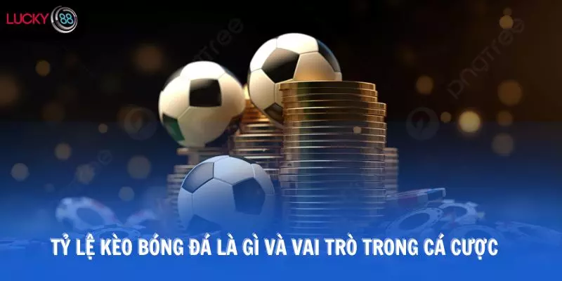 Tỷ lệ kèo bóng đá là gì và vai trò trong cá cược